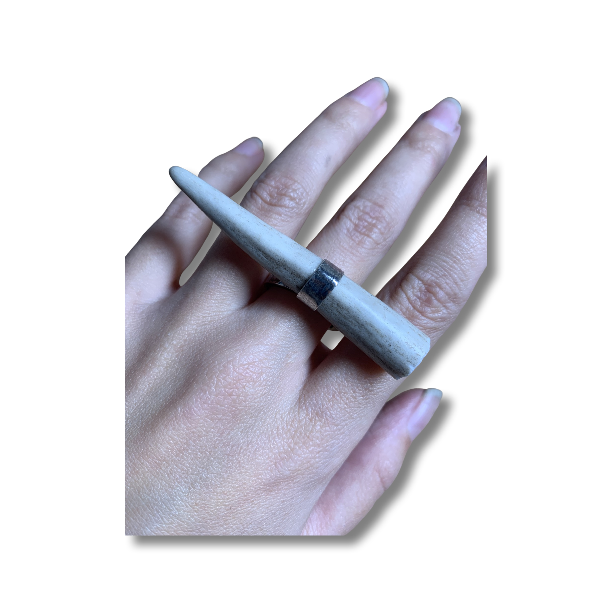 Sterling Silver and Deer Antler Ring
